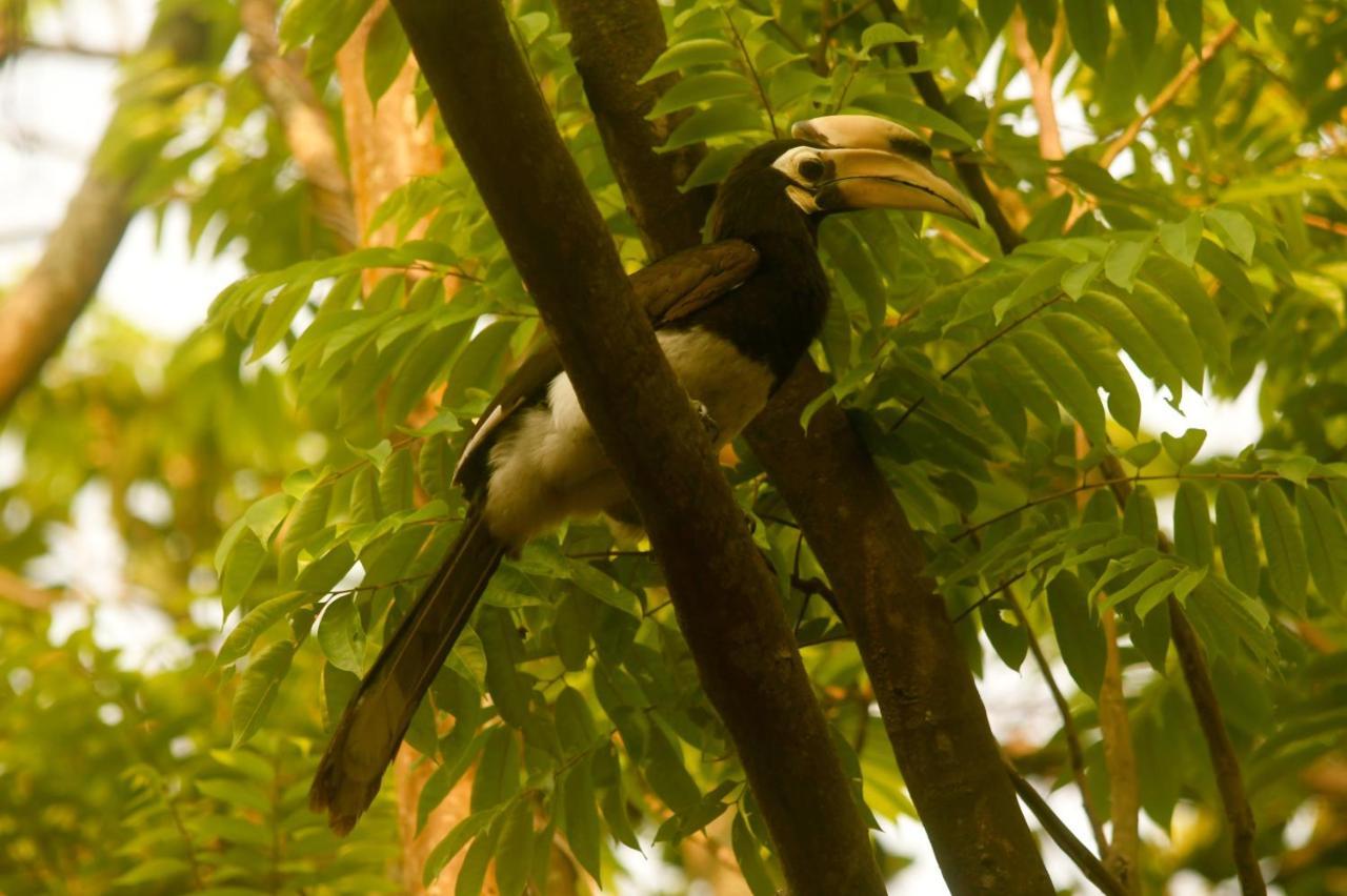 Hilltop Lodge Guwahati Buitenkant foto